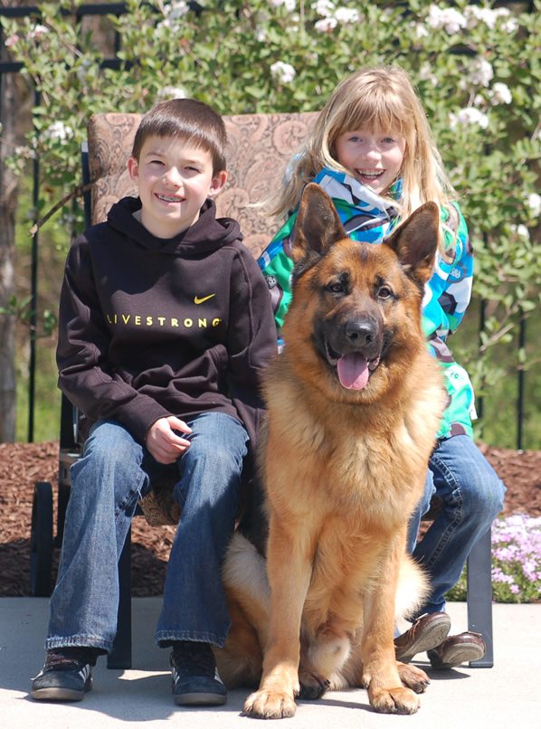 Protection Dogs and Children