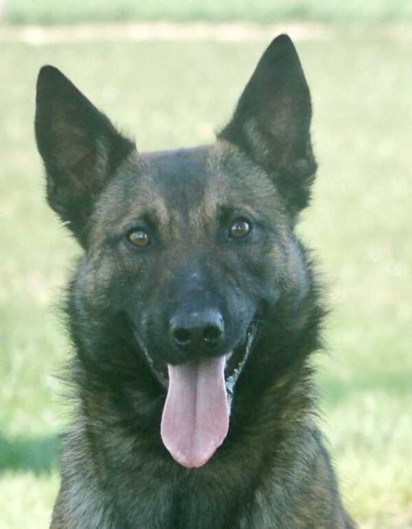 Freya Headshot Freya Headshot