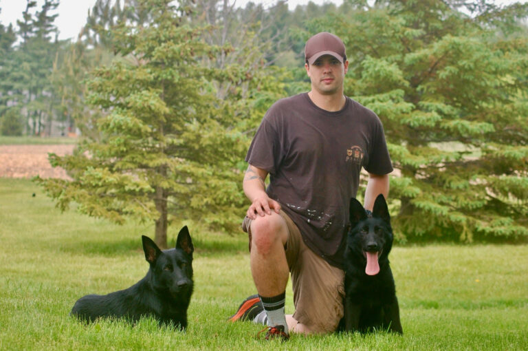our top of the line shepherd doing police dog training