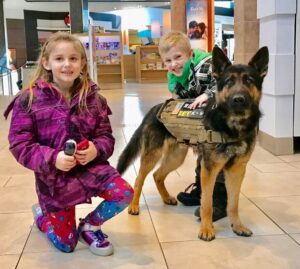 protection dogs world wide