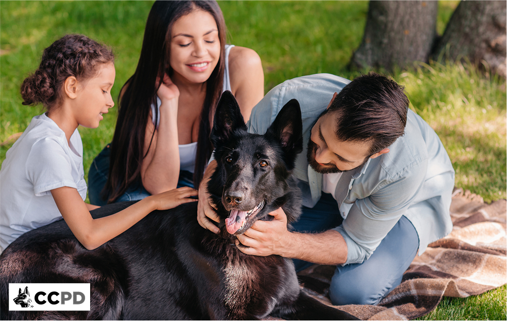 Happy family with protective dog enjoying a sunny day at the park