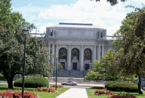 Protection Dogs for sale Connecticut available