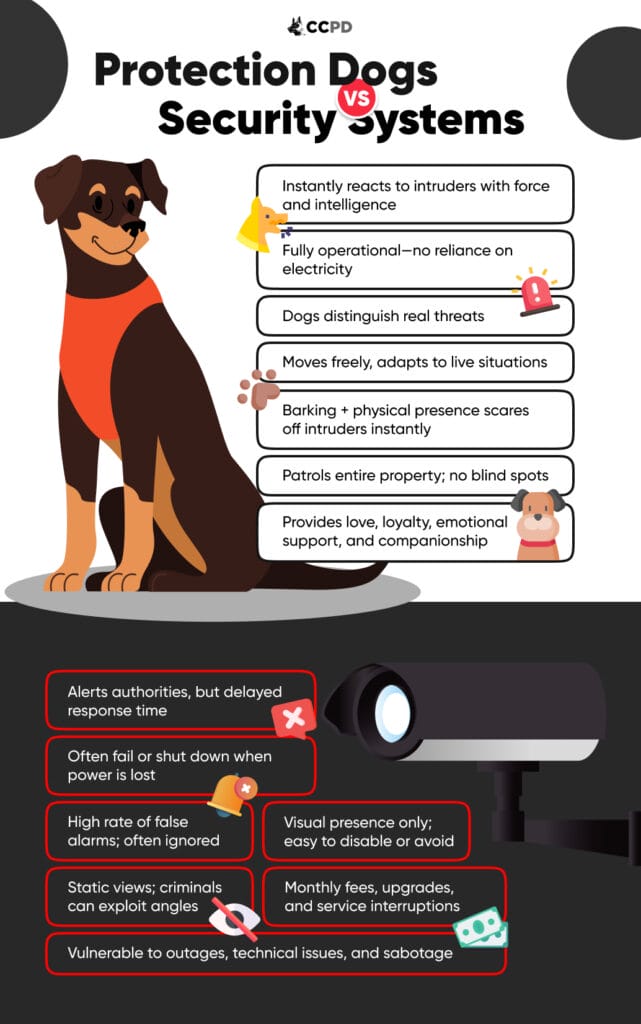 Protection Dogs Security Systems benefits of protection dogs—instant reaction, mobility, emotional support—versus drawbacks of security systems like delayed alerts, false alarms, and vulnerability to outages.