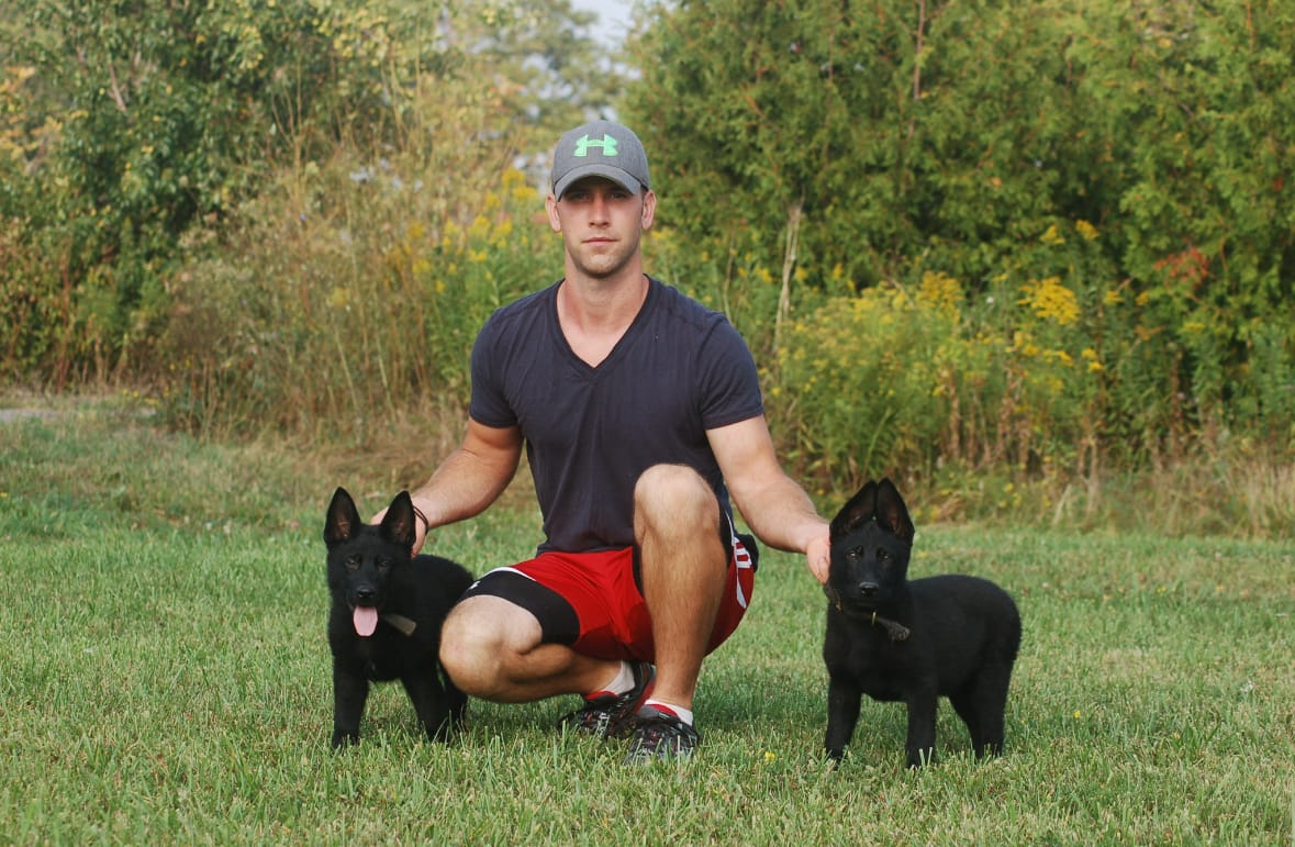 Protection dogs for sale Canada ready for forever homes