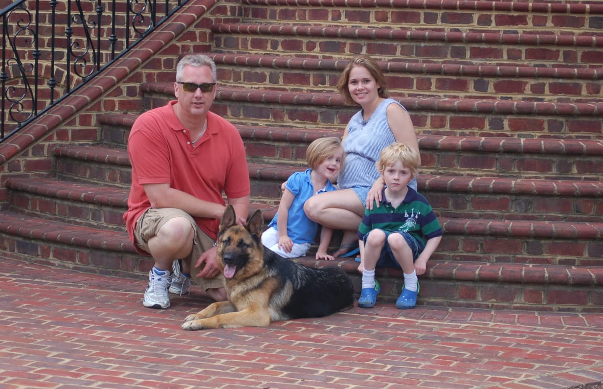 protection dogs for sale Florida