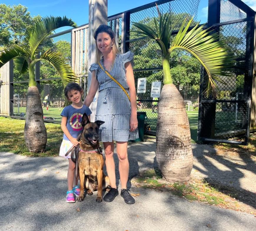 Protection dogs for sale California