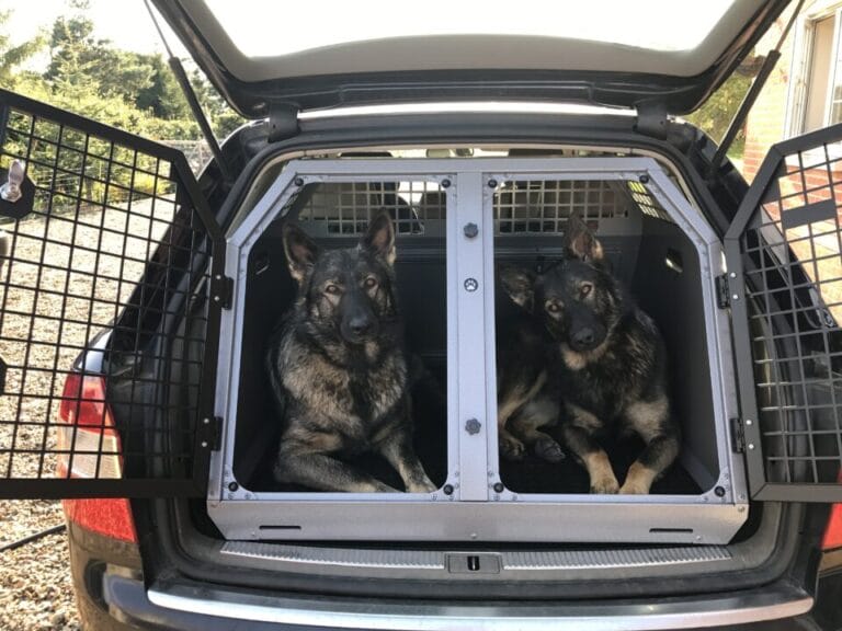 Crate training a dog make it a fun experience