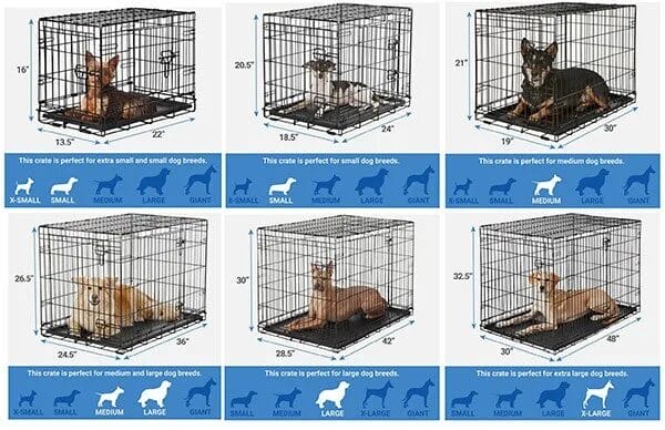 Crate training a dog. Know what crate size you need