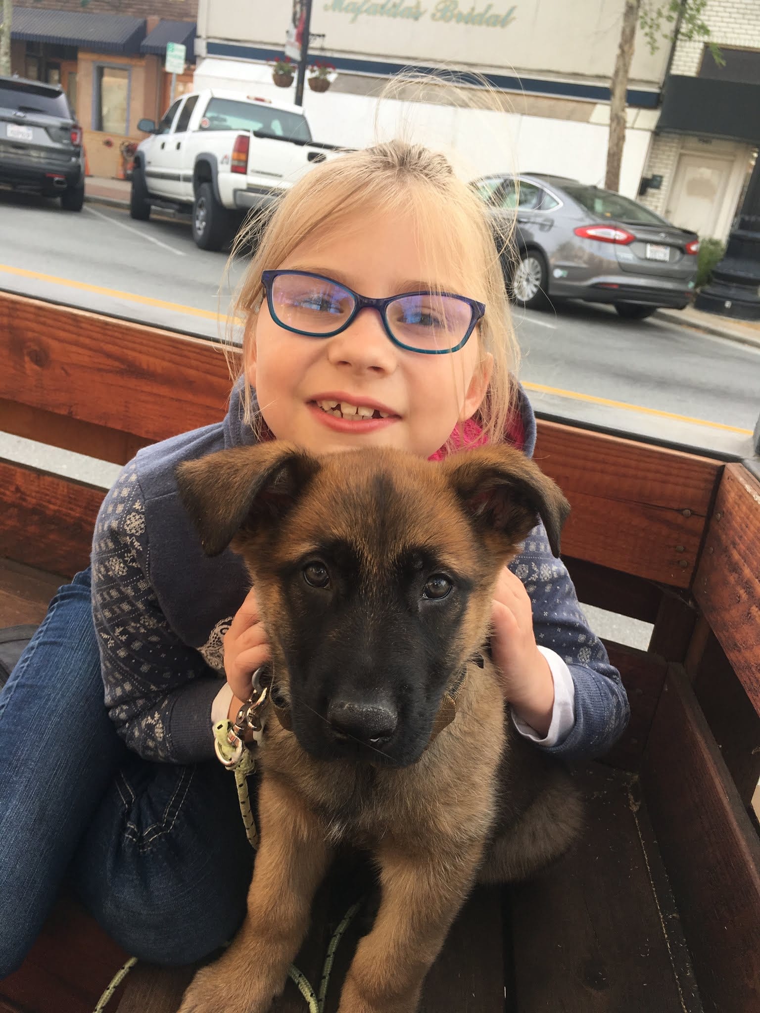 protection dogs for sale in Newark,California